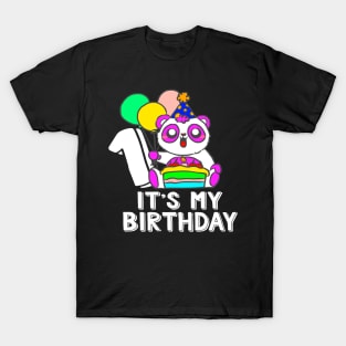 children's birthday party - birthday T-shirt T-Shirt